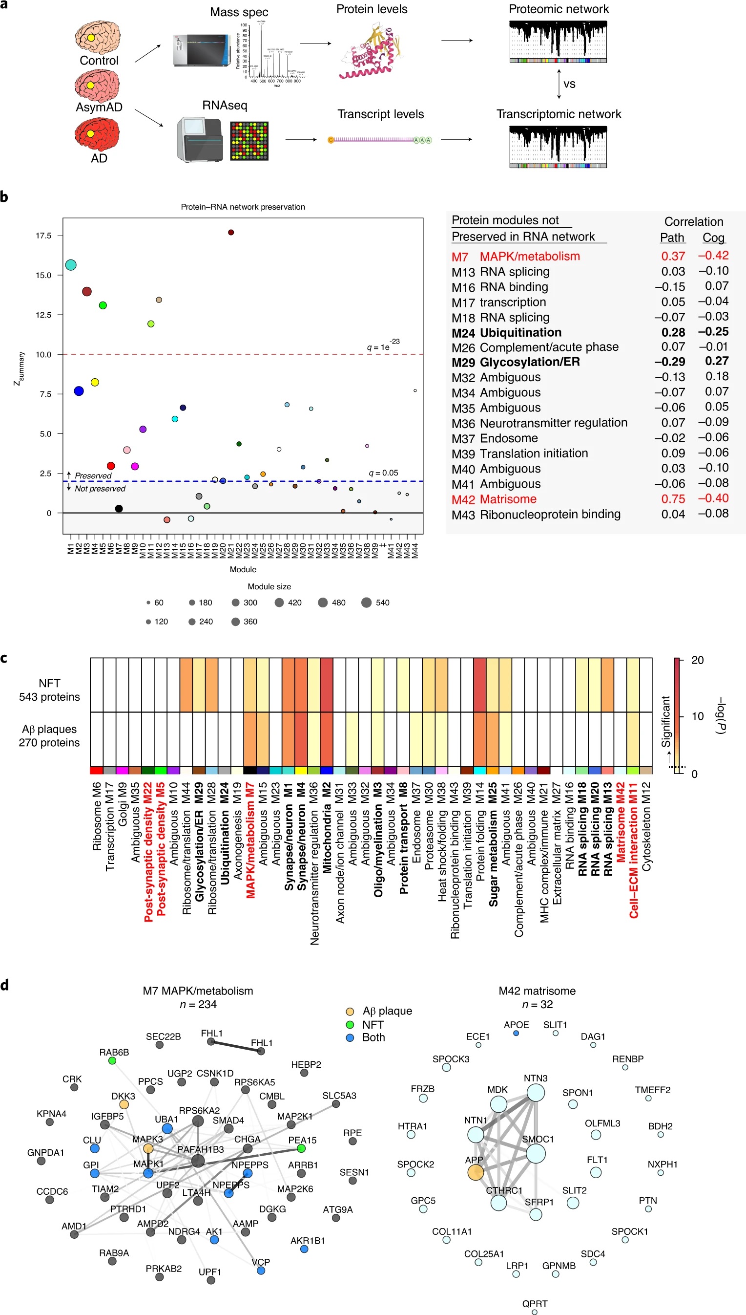 Multi omics integration analysis - revealing new protein related changes in the brain of Alzheimers disease patients!(pic1)